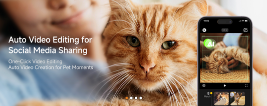 Is Your Pet a Secret Artist? Unleash Their Creativity with PickFun's AI Portraits