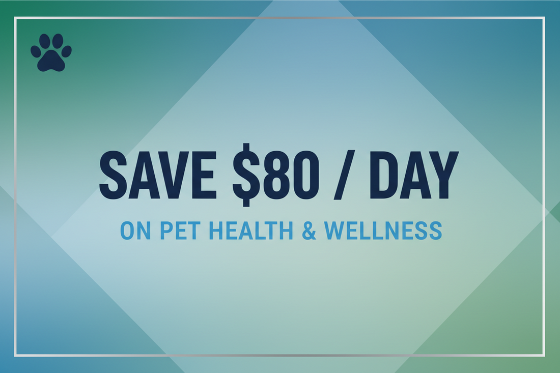 The $80/Day Habit You Can Break: How PickFun Saves You Money