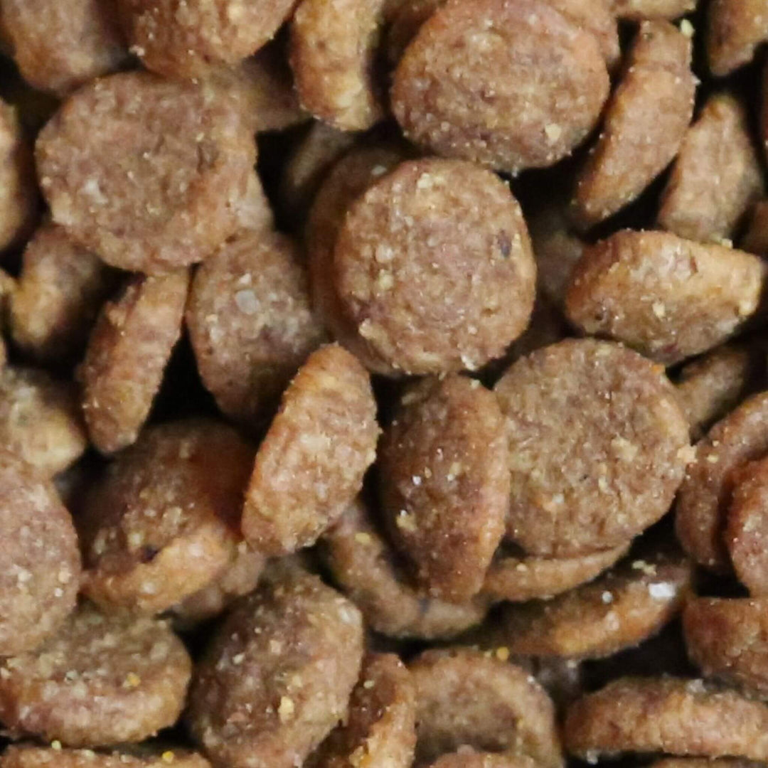 Close-up of brown pet food pellets