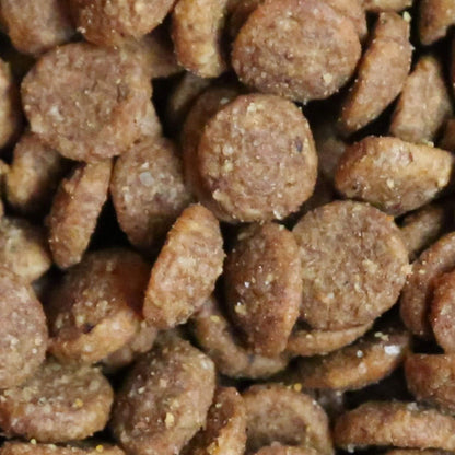 Close-up of brown pet food pellets