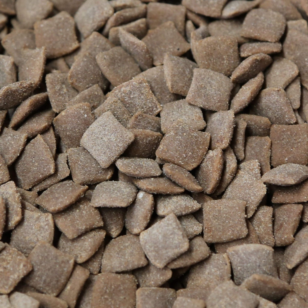 Close-up of brown pet food pellets