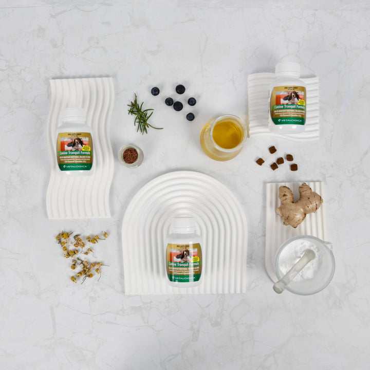 Collection of natural products including a bottle, jar, and ginger root on a textured surface.