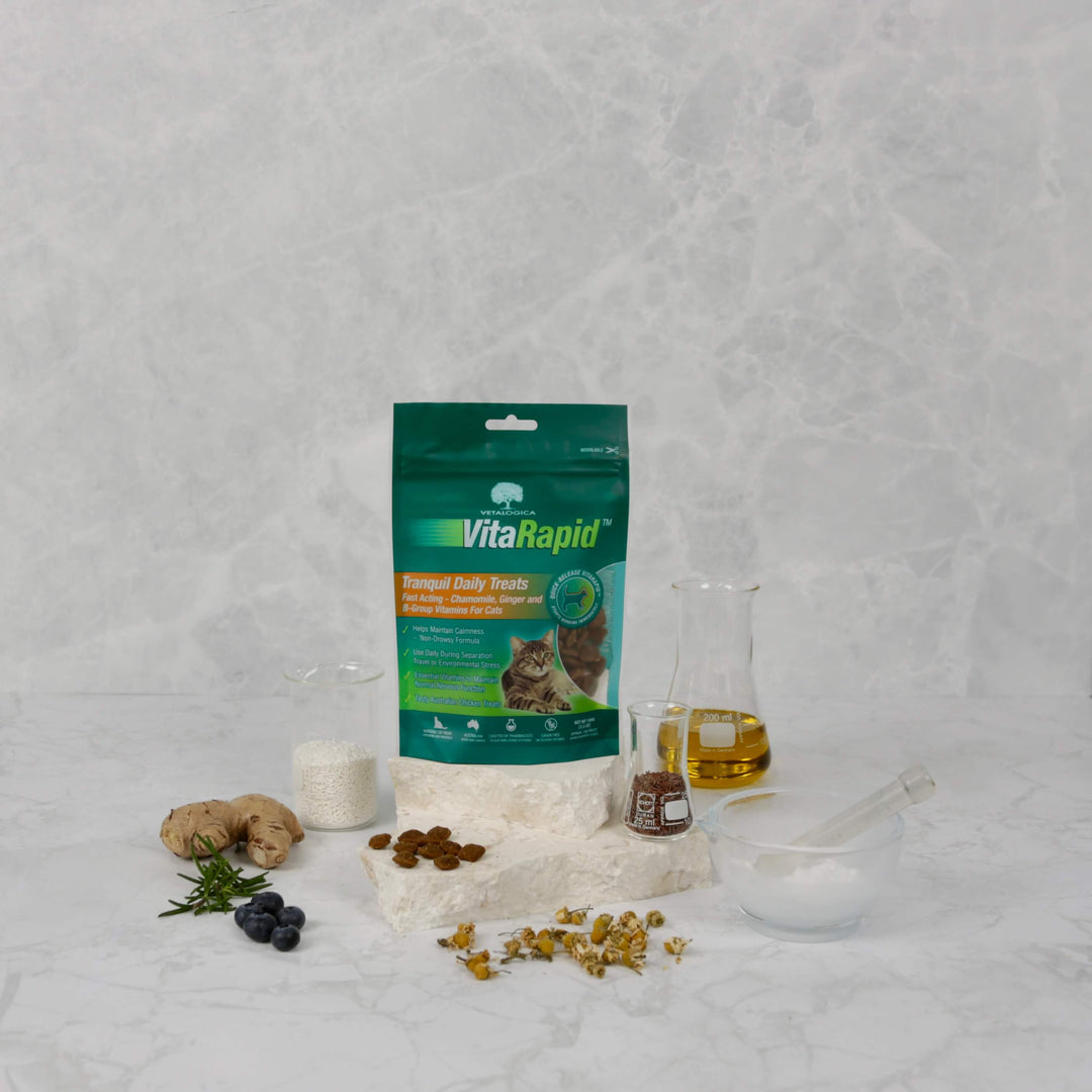VitaRapid pet supplement package with ingredients on a gray background