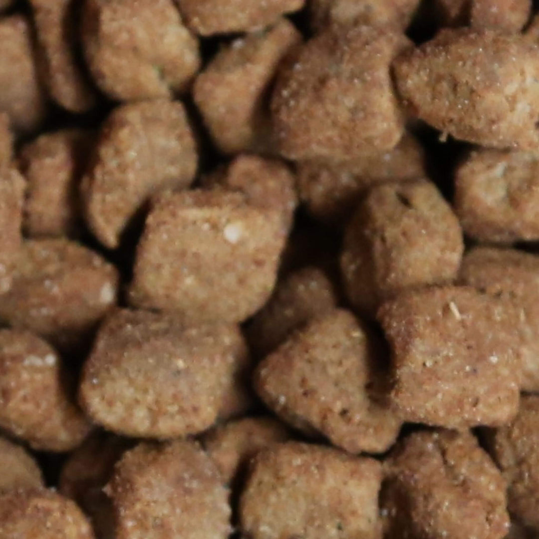 Close-up of brown pet food pellets