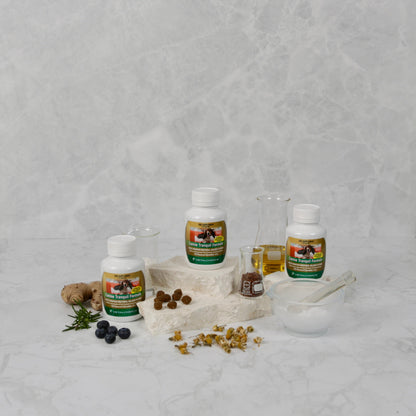 Herbal products with bottles and ingredients on a textured gray background