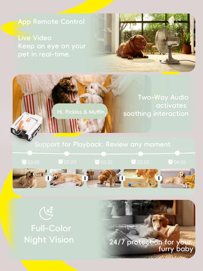 PICKFUN A3 robot following and playing with dog indoors
