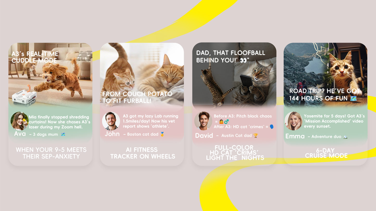 Row of cat-themed product advertisements with text and images of cats on a light gray background.