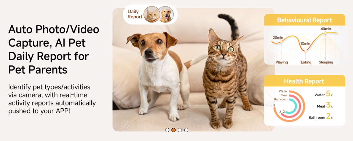 Pet monitoring app with a dog and cat on a couch, showing daily reports and health metrics.