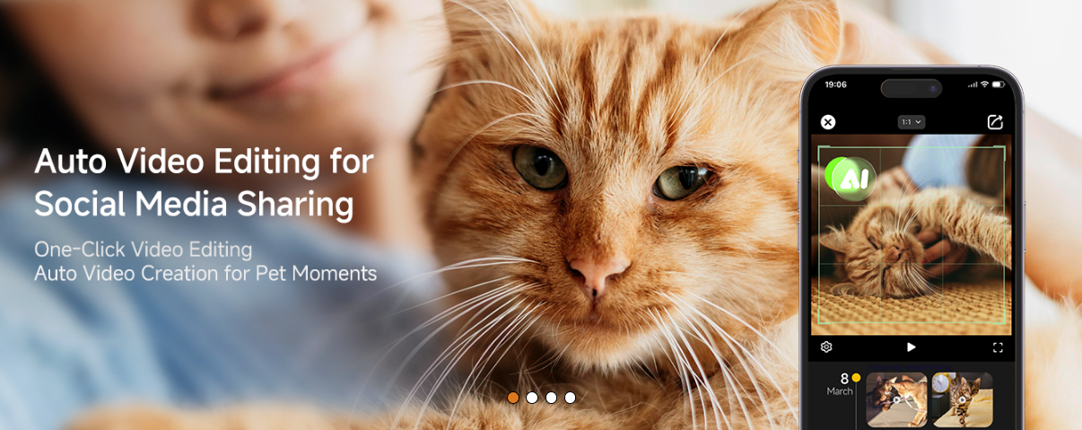 Cat lying on a person's lap with smartphone displaying video editing app