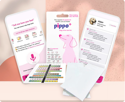 Pippo pet health care kit with digital app interface on a pink background