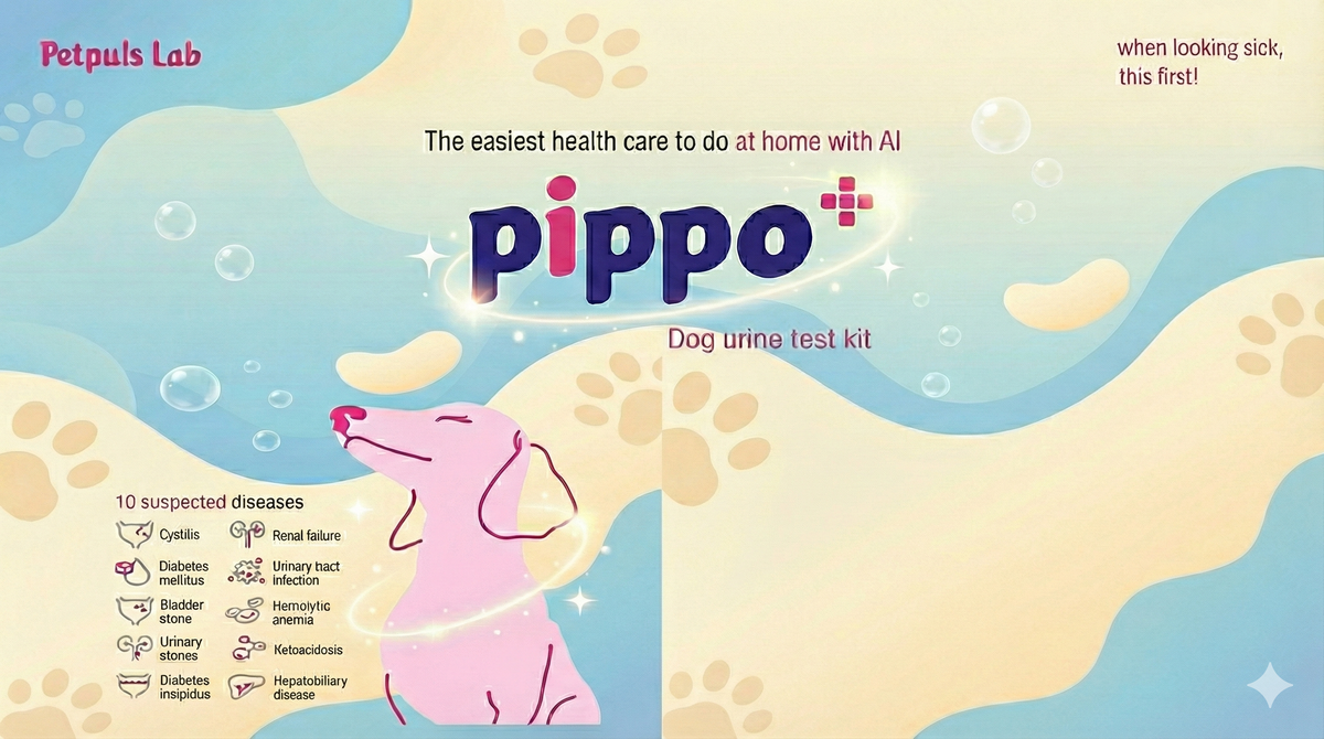 Pippo dog urine test kit packaging with a cartoon dog and paw prints on a blue and beige background.