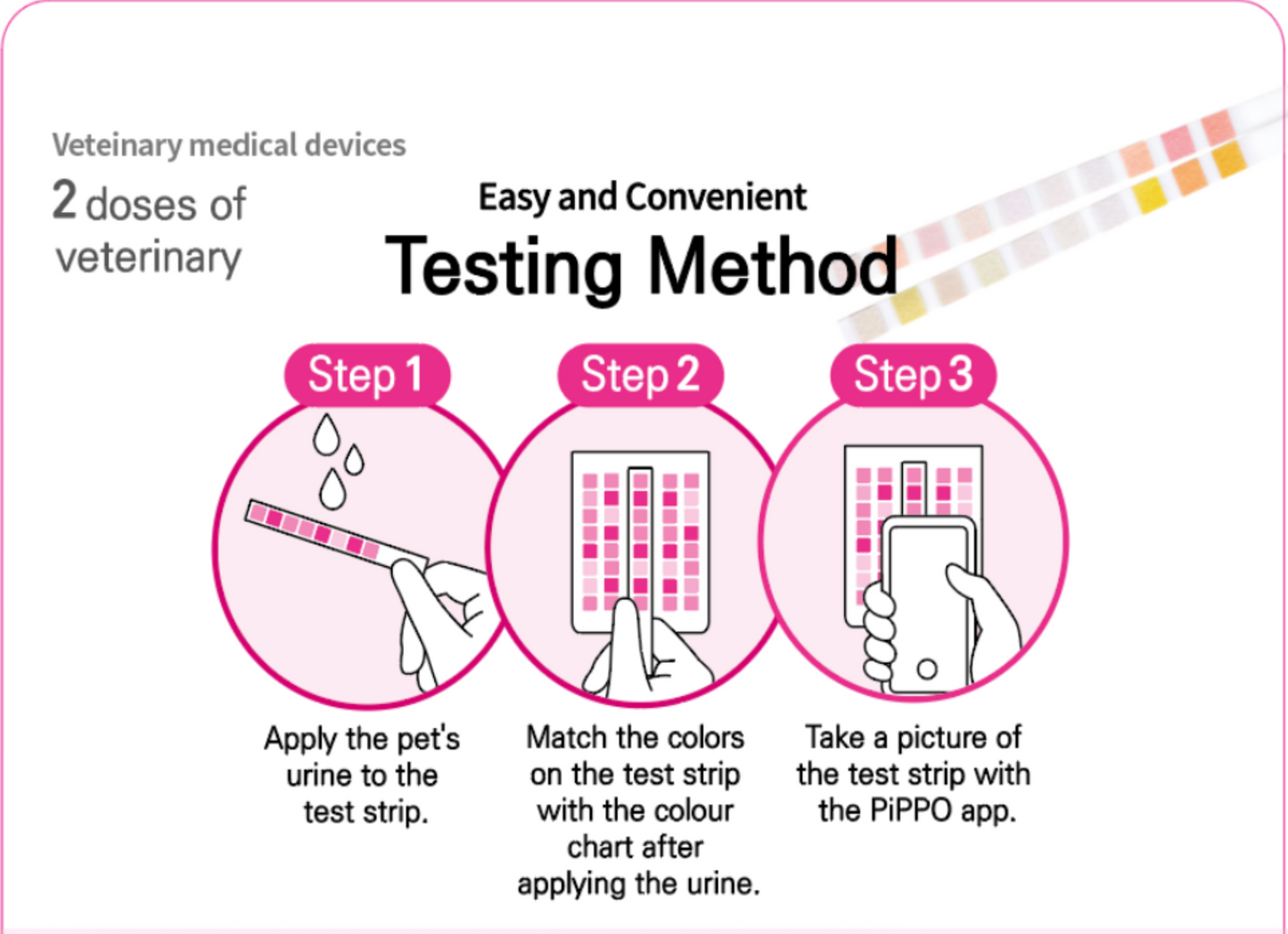 Step-by-step guide for a veterinary testing method with illustrations and text on a pink background.