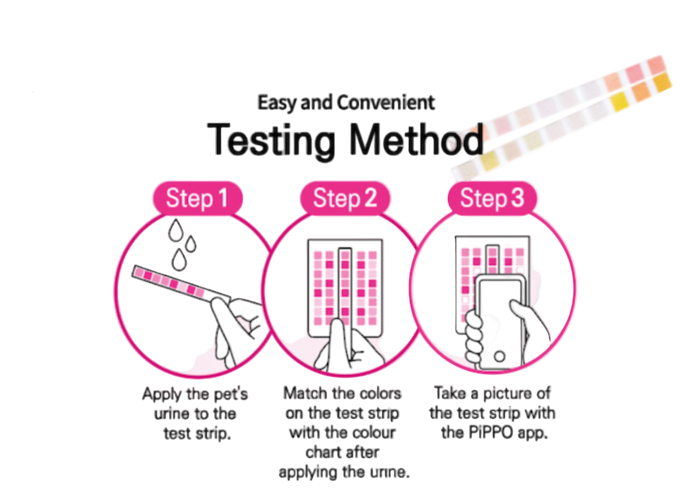Step-by-step guide for a testing method with illustrations and text on a white background