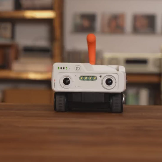 PICKFUN A3 Pet Robot demonstration video showing interactive play with pets